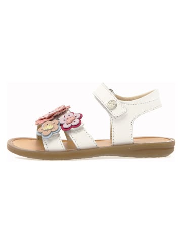 Naturino Leren sandalen "Melven" goudkleurig