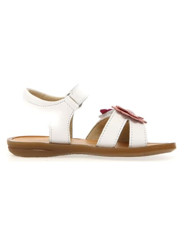 Naturino Leren sandalen "Melven" goudkleurig