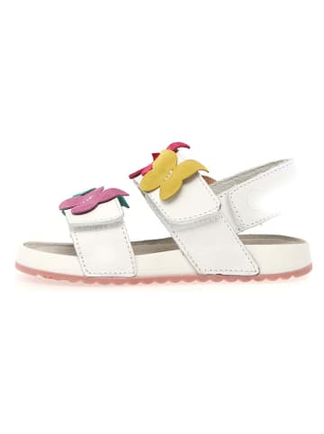 Naturino Leren sandalen "Numees" beige