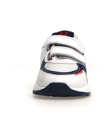 Naturino Sneakers "Bley" wit