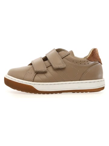 Naturino Leder-Sneakers "Nume" in Hellbraun