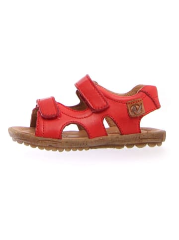 Naturino Leder-Sandalen "Sky" in Rot
