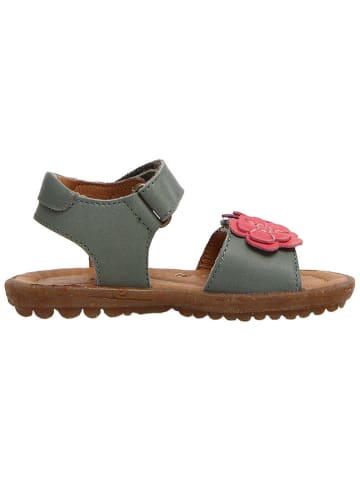 Naturino Leder-Sandalen "Begonia" in Khaki