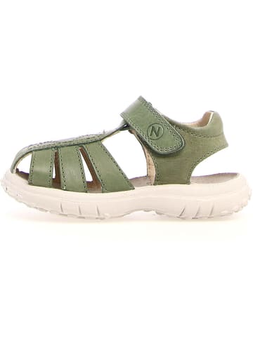Naturino Leren enkelsandalen "Bintan" groen