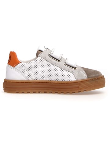 Naturino Leren sneakers "Blitz" wit/bruin/oranje