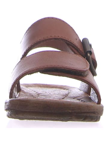 Naturino Leder-Sandalen "Kenny" in Braun