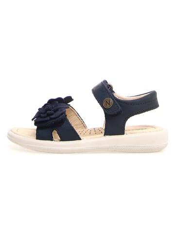 Naturino Leren sandalen "Cipria" donkerblauw