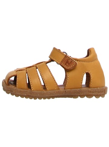 Naturino Leren enkelsandalen "Lagoon" lichtbruin