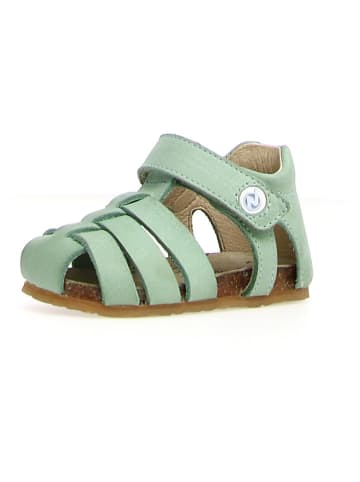 Naturino Leren enkelsandalen "Alb" mintgroen