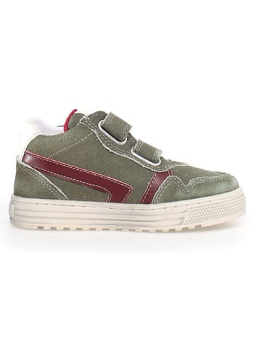 Naturino Leren sneakers "Ceonia" groen