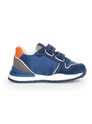 Naturino Leren sneakers "Argal" donkerblauw/meerkleurig