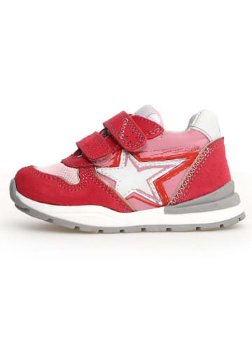 Naturino Leren sneakers "Roy" rood/lichtroze/wit