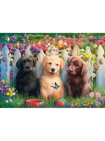 Schmidt Spiele 1.000tlg. Puzzle "Süße Welpenszene" - ab 14 Jahren