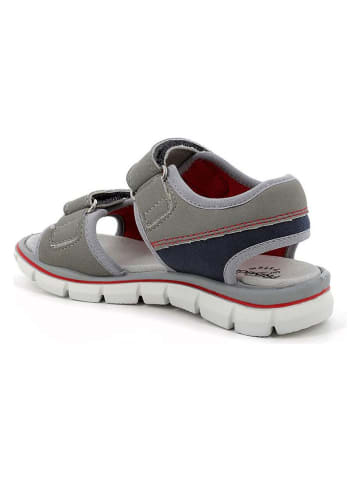 Primigi Sandały w kolorze szarym