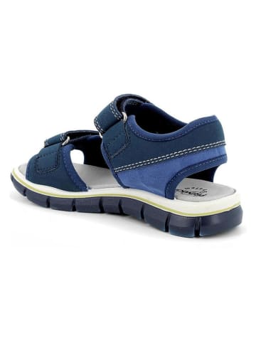 Primigi Sandalen donkerblauw