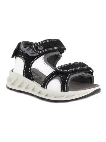 Primigi Leder-Sandalen in Schwarz