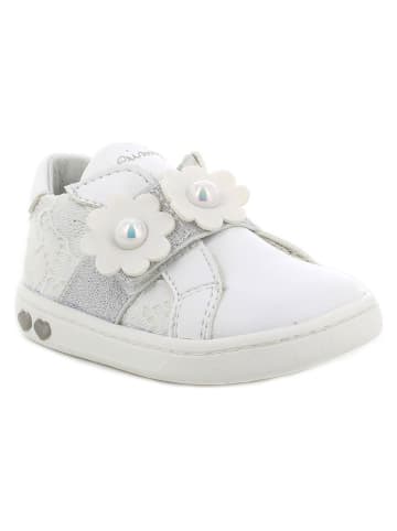Primigi Sneakers in Weiß