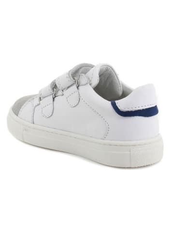 Primigi Skórzane sneakersy w kolorze biało-szarym