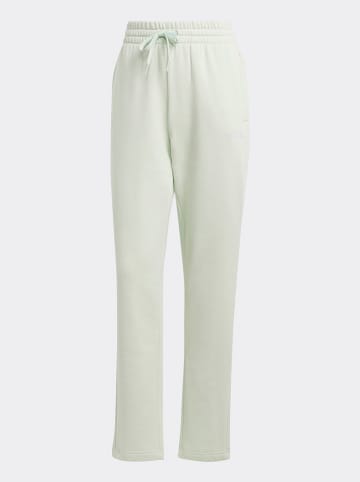 adidas Sweatbroek lichtgroen