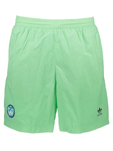 adidas Trainingsshorts in Grün