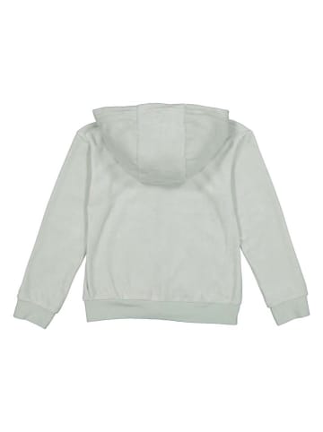 adidas Sweatjacke in Grün