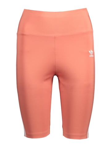 adidas Trainingsshorts in Orange