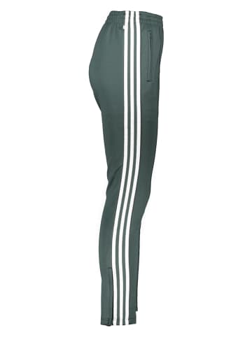 adidas Sweathose in Grün