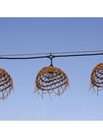 lumisky Ledlichtguirlande "Hawaii" naturel - (L)600 cm