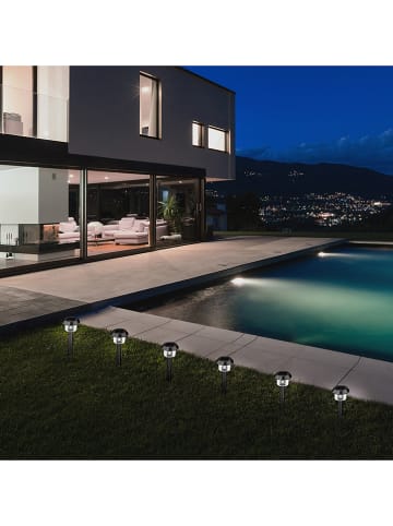lumisky 8er-Set: LED-Solar-Gartenstecker "Alesia" in Silber - (H)39 cm