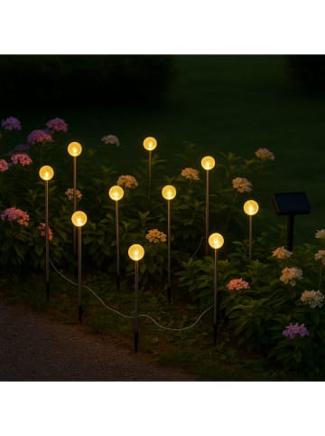lumisky LED-Solar-Pflanzenbeleuchtung ''Lolly'' in Hellbraun - (L)40 x (B)500 cm