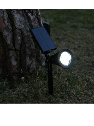 lumisky Ledsolarlamp "Spiky" zwart - (H)34 cm