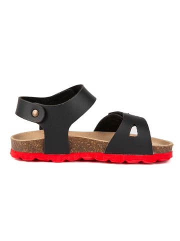 billowy Sandalen zwart