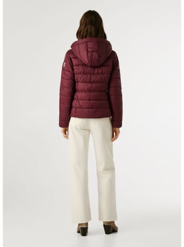 Pepe Jeans Steppjacke in Bordeaux
