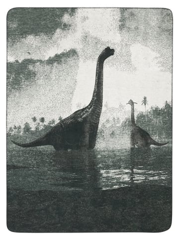 biederlack Wohndecke ''Brachio'' in Grau - (L)200 x (B)150 cm