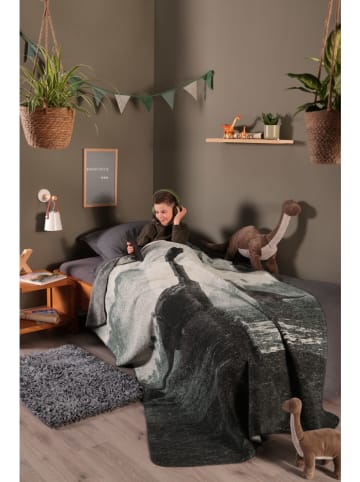 biederlack Koc "Brachio" w kolorze szarym - 200 x 150 cm