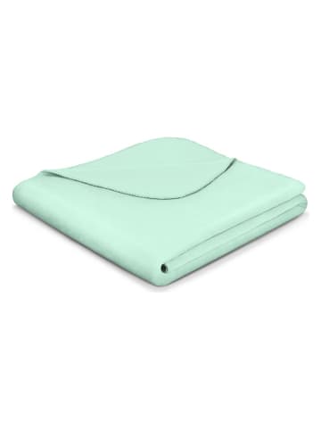biederlack Koc w kolorze miętowym - 200 x 150 cm