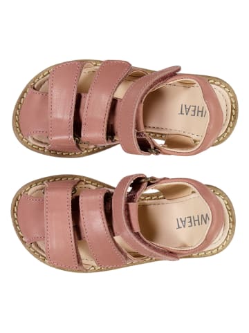 Wheat Leder-Halbsandalen "Addison" in Rosa