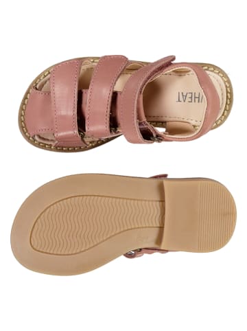 Wheat Leder-Halbsandalen "Addison" in Rosa