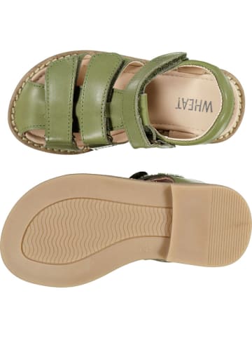 Wheat Leder-Halbsandalen "Addison" in Grün