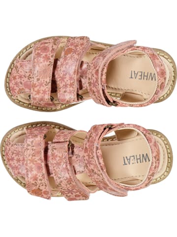 Wheat Leder-Halbsandalen "Addison" in Rosa