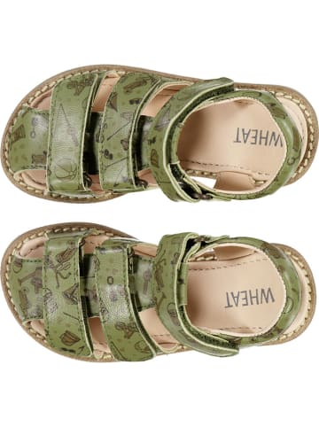 Wheat Leder-Halbsandalen "Addison" in Grün