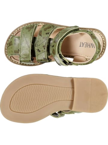 Wheat Leder-Halbsandalen "Addison" in Grün
