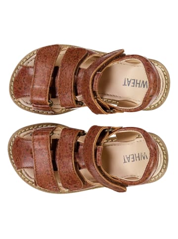 Wheat Skórzane półsandały w kolorze brązowym