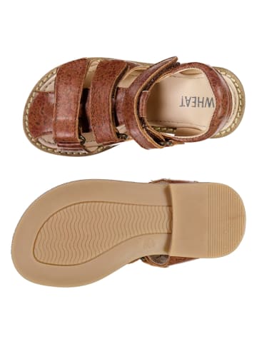 Wheat Leder-Halbsandalen in Braun