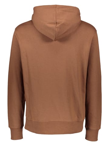 New Balance Hoodie "Sport Seasonal" in Hellbraun