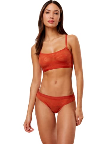 Triumph Slip "Smart Deco" in Orange