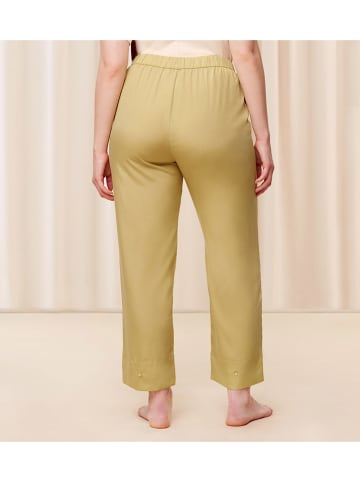 Triumph Hose in Oliv