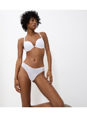 Triumph String "Harmony Spotlight" wit