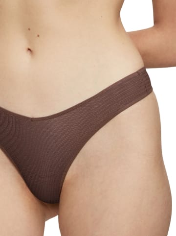 Triumph String bruin