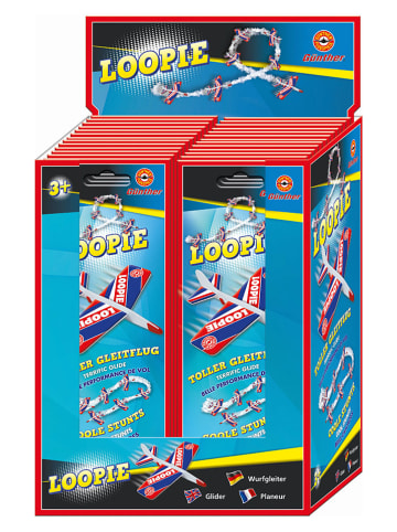 Günther Zweefvliegtuig ''LOOPIE'' - (L)22 x (B)20 cm